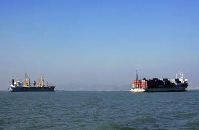 寧波國際貨代的主要職責是什么？