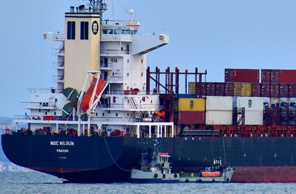 上海貨代公司的運作機制，其在全球物流體系中的獨特地位如何？