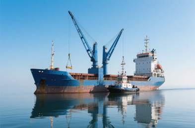 國(guó)際物流貨運(yùn)：農(nóng)產(chǎn)品進(jìn)口的定制化專(zhuān)家