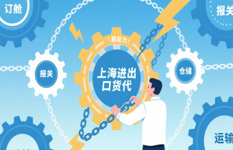 從港口到全球，上海進出口貨代是海運的 “貼心管家”