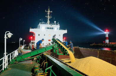國(guó)際貨運(yùn)代理：海運(yùn) / 空運(yùn) / 陸運(yùn)全航線，訂艙到派送一站搞定